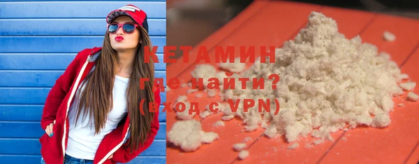 индика Няндома