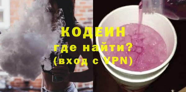 индика Няндома