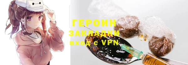 индика Няндома