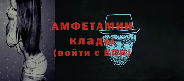 индика Няндома