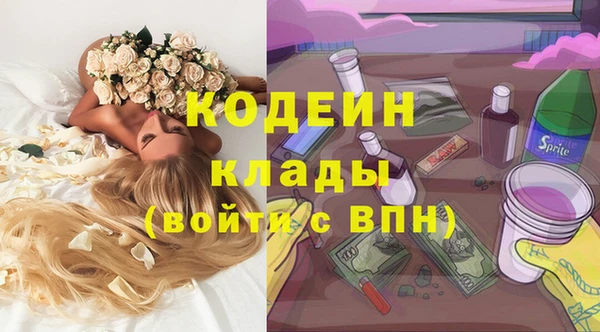 индика Няндома