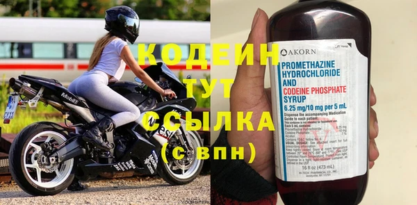 индика Няндома