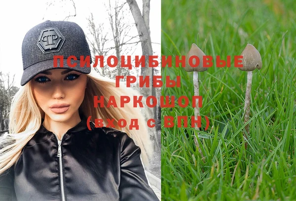 индика Няндома