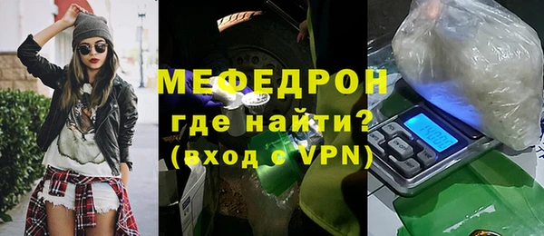 индика Няндома