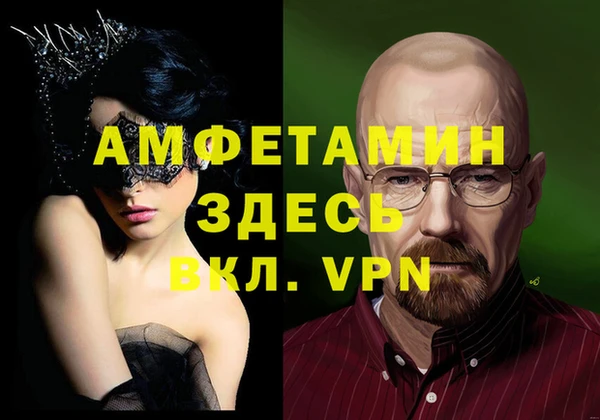 индика Няндома