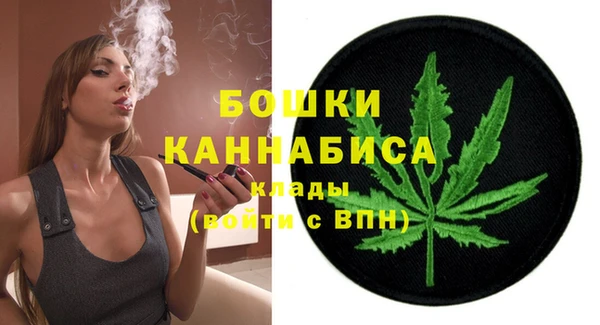 индика Няндома