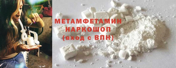 индика Няндома
