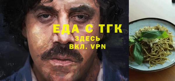 индика Няндома