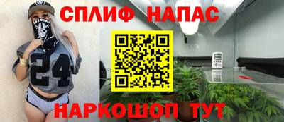 меф Кингисепп