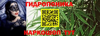 меф Кингисепп