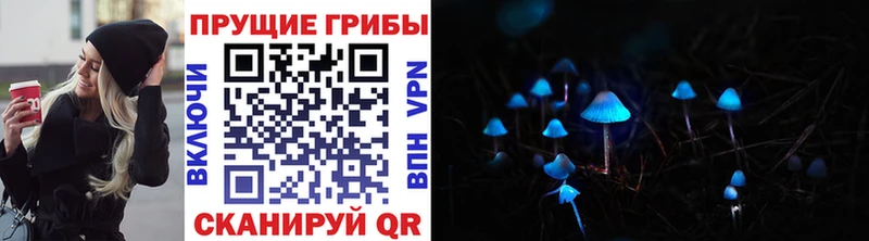 Псилоцибиновые грибы Cubensis  где купить   Коряжма 