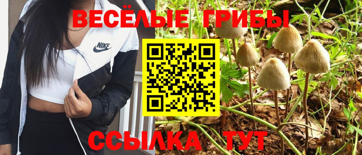 Галлюциногенные грибы MAGIC MUSHROOMS Коряжма